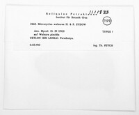 Image Associated With the Occurrence